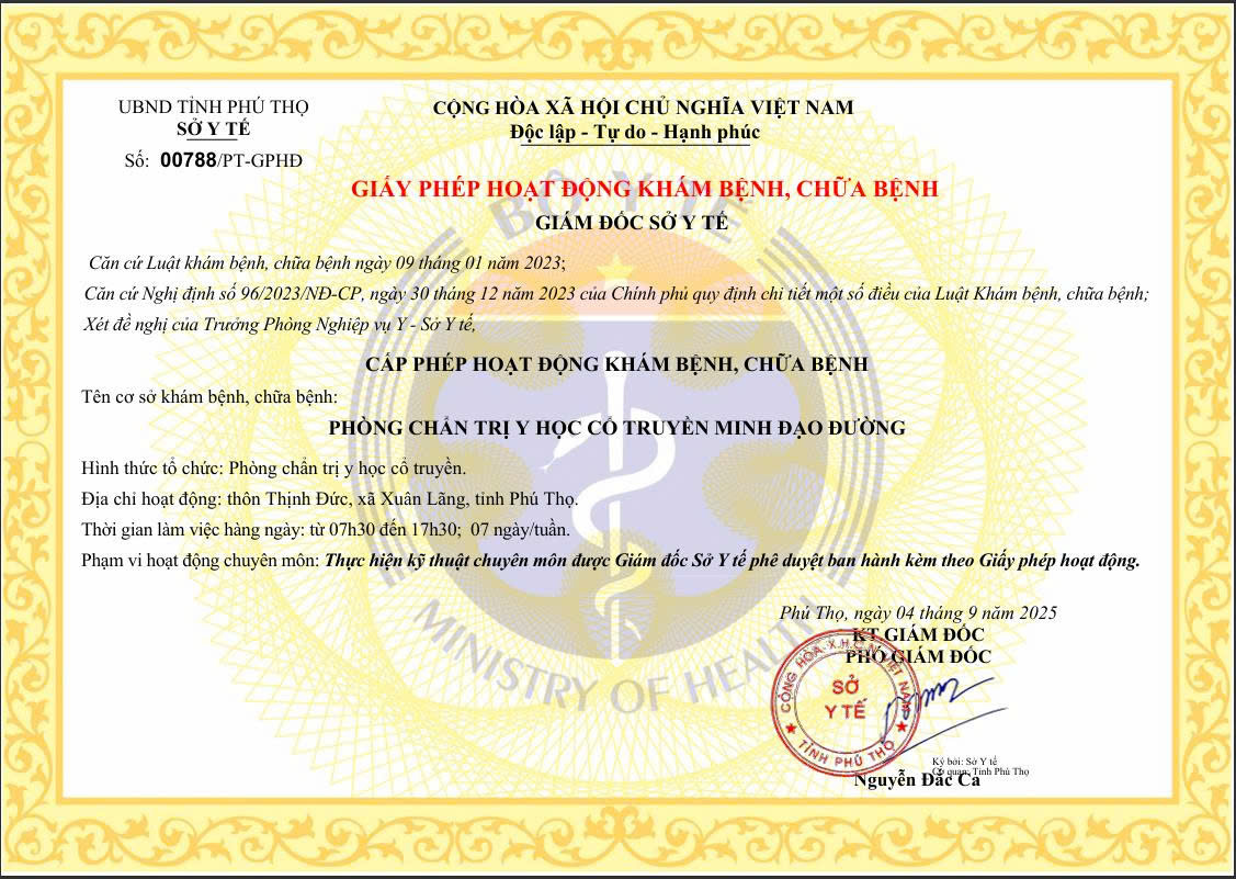 Giấy phép hoạt động khám bệnh, chữa bệnh số 00788/PT-GPHĐ do Sở Y tế tỉnh Phú Thọ cấp ngày 04/9/2025